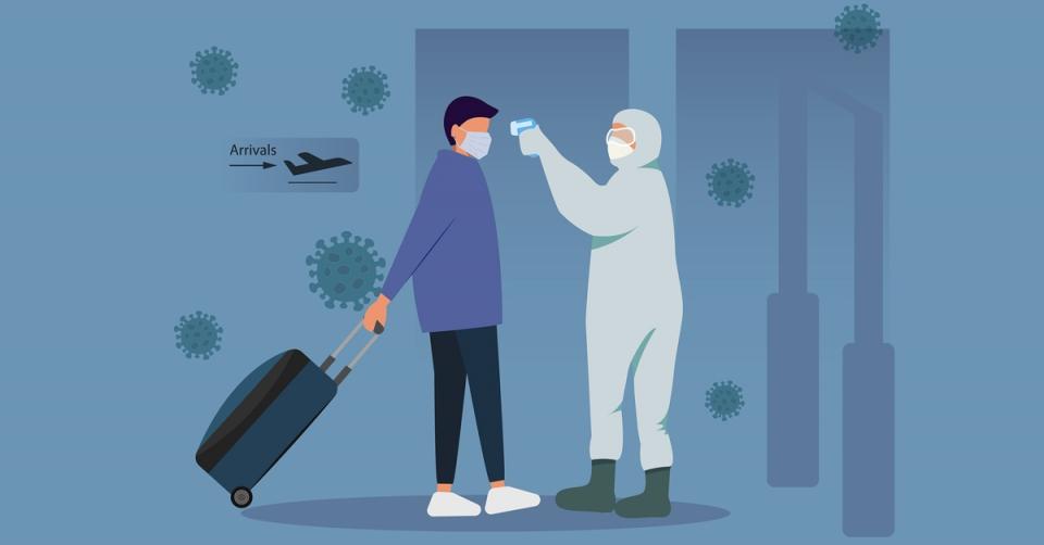 Be like a bat: how to beat the coronavirus image 