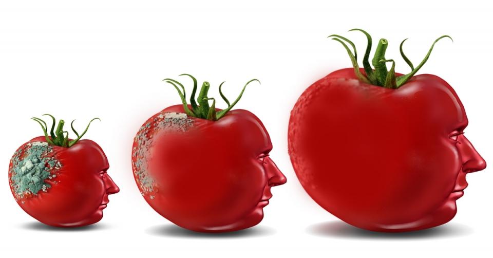 Tea and tomatoes are reversing Alzheimer's image