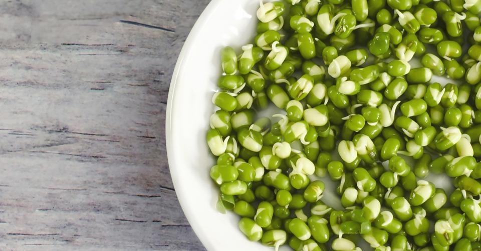 Delicious vegan and vegetarian high protein meals image
