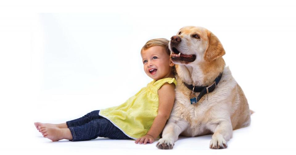 Having a pet dog helps reduce ADHD symptoms image 