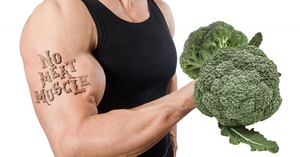 No meat no muscle? image