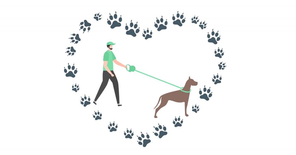 How your dog could keep your heart healthy image 