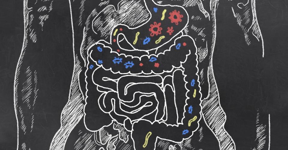 Autism could be caused by problems in the gut image 