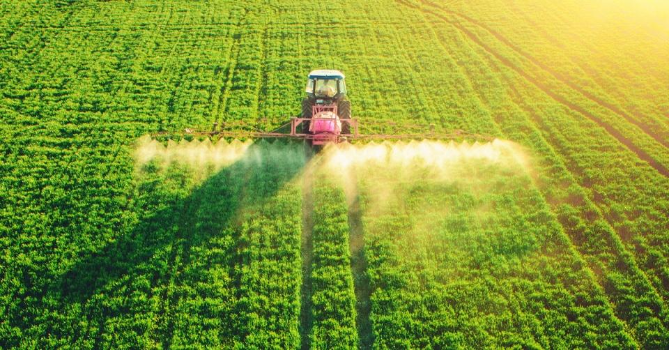 Organophosphates cause learning problems, say health experts image 