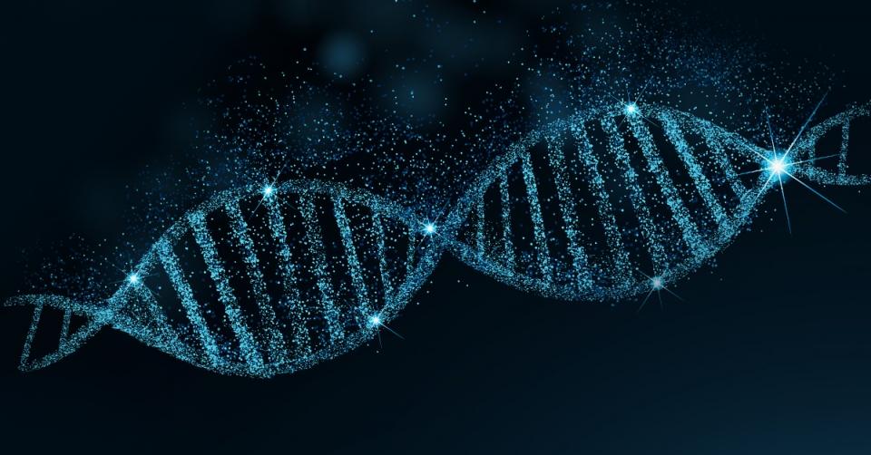 Rewrite your genetic code with green tea and red wine image