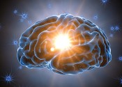 Research Shows What Living Near A Forest Can Do To The Human Brain